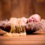 Newborn_baby_photography_mayo_shutter_fever_photo