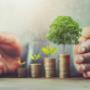 Savings &
Investments