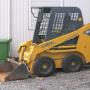 bobcat
