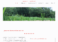 Japanese Knotweed Ireland Ltd's website
