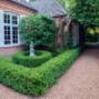 Garden Hedging Olympian Landscaping