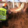 Aardvark Tree Services