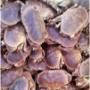 Uploaded by visitor on 10/06/2016 - brown crab exporter