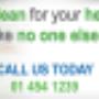 Carpet Cleaning