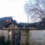 FIRE DAMAGE