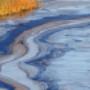 Oil Damage