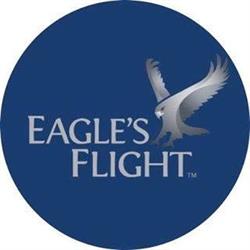 EAGLE'S FLIGHT IRELAND LIMITED