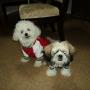 Ozzie n Chico