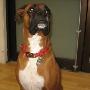 Roxy