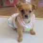 Tiny