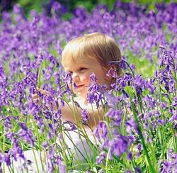 BLUEBELLS CRECHE KILKENNY