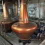 Uploaded by visitor on 23/08/2016 - Teelings whiskey