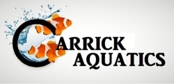 CARRICK AQUATICS