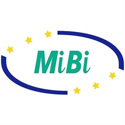 MOTOR INSURERS' BUREAU OF IRELAND