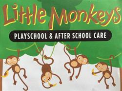 LITTLE MONKEYS PLAYSCHOOL