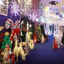 FANTASY CHRISTMAS LIGHTS