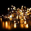500 Multi Function LED Christmas Lights