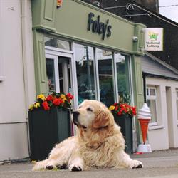 FOLEYS EXPRESS FOODSTORE