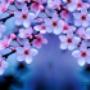 Uploaded by visitor on 30/08/2017 - www.munatherapy.com