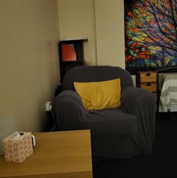 THE PALMS CENTRE
