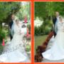 change background of wedding photo
