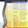 I have been helping people with all sorts of problems for over 25 years. From general issues like lack of energy, to very specific problems like a frozen shoulder, or a sports injury, I am here to change things for you. It interests me that resolving one problem will often improve another, such as indigestion or irritable bowel problems. Whether your issue is age-related movement, or pregnancy postural problems, don’t suffer in silence – ask for help. I also tackle work-related problems, such as the farmer beat after the calving season or office workers feeling the ill effects of sitting.