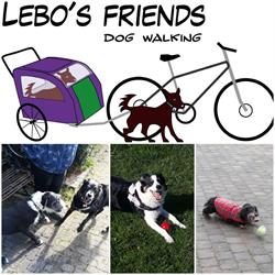 Lebo's Friends, Dog Walking