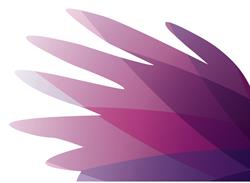 Fingal County Council