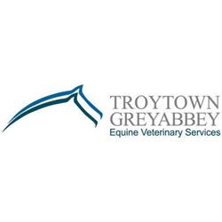 Troytown Equine Hospital