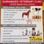 Glenamaddy Veterinary Services, Veterinary Clinic. Galway jpg GALLERY