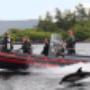 Uploaded by visitor on 29/05/2017 - Dive Boat Kenmare Bay Diving Co Kerry