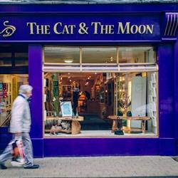 The Cat And The Moon