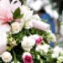 Flowers & Wreaths