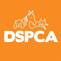 D.S.P.C.A. ANIMAL SHELTER LIMITED