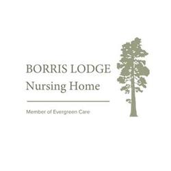 Borris Lodge Nursing Home