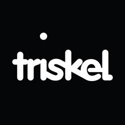 Triskel Arts Centre Company Limited By Guarantee