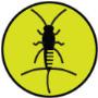 Silverfish Control & Prevention
