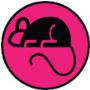 Mice Control & Prevention