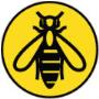 Wasps Control & Prevention