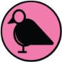 Bird Control & Prevention