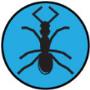 Ant Control & Prevention