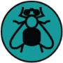 Fly Control & Prevention