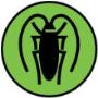 Cockroach Control & Prevention