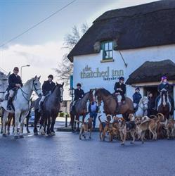 THE THATCHED INN