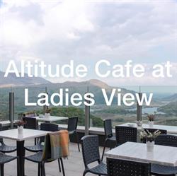 LADIES VIEW INDUSTRIES