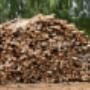 Forestry Clearfelling