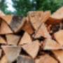 Firewood Logging & Splitting Services