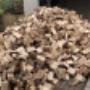 FIREWOOD SALES: Softwood & Hardwood delivered