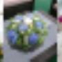 Corporate Flowers