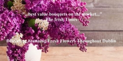 Precious Petals Florists, Dublin